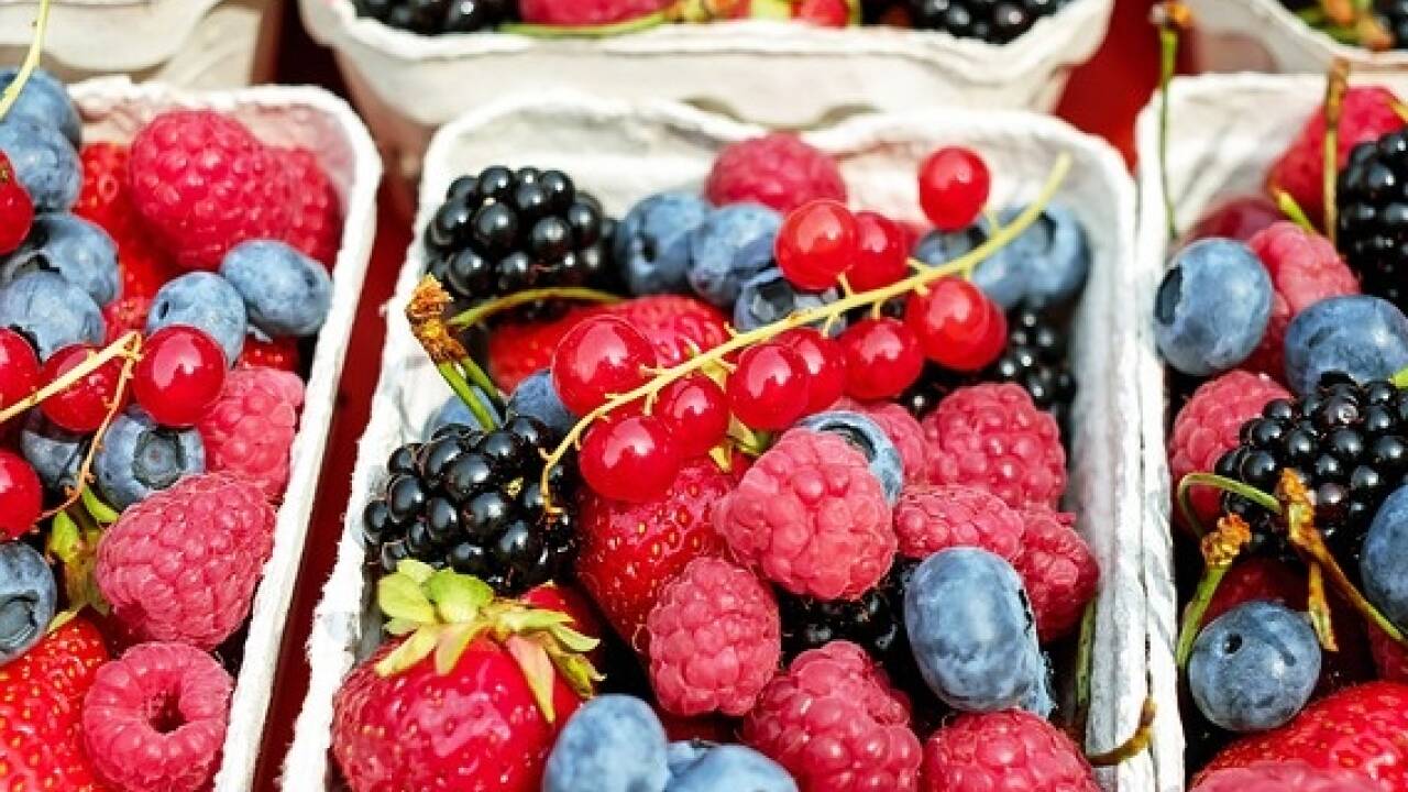Erdbeeren, Himbeeren und Heidelbeeren sind sehr beliebt im eigenen Garten. 