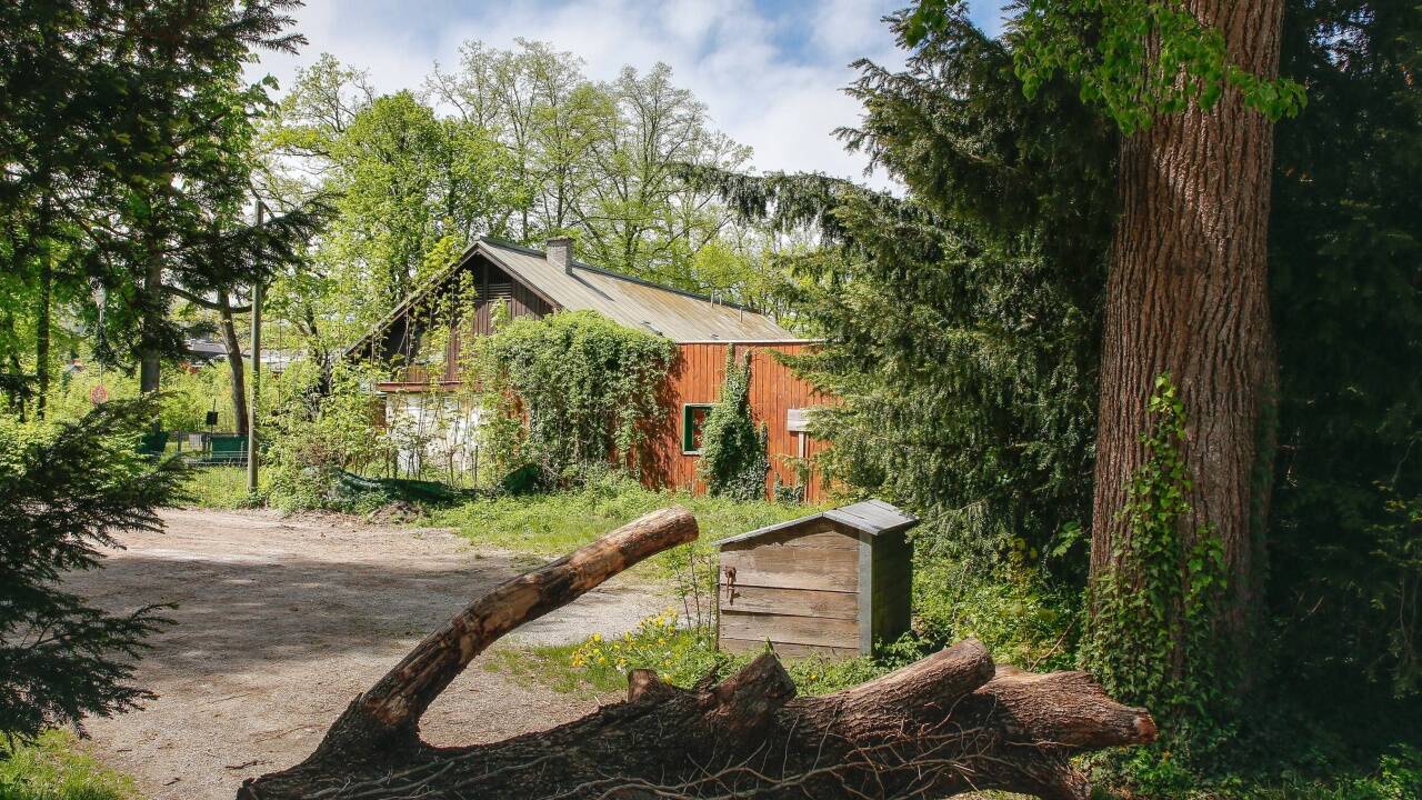 Der Park wird auch gärtnerisch neu gestaltet.  