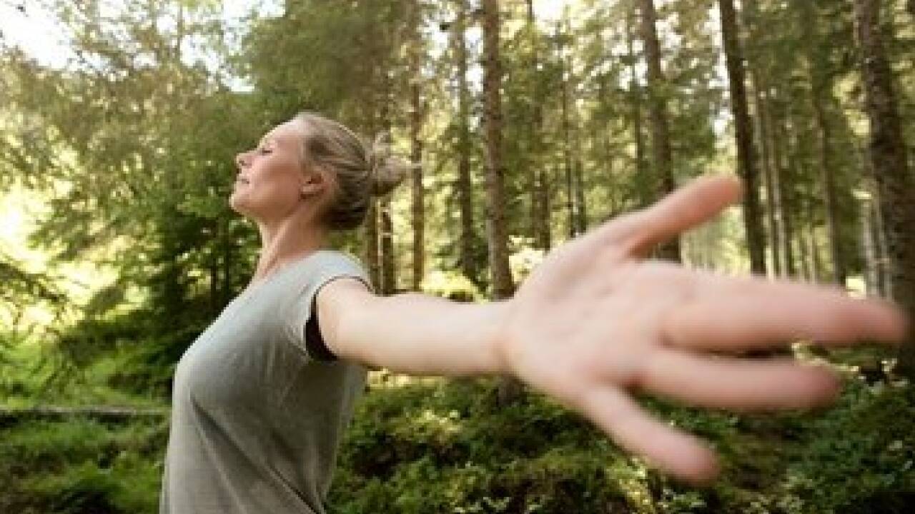 Übungen im Wald  Übungen im Wald