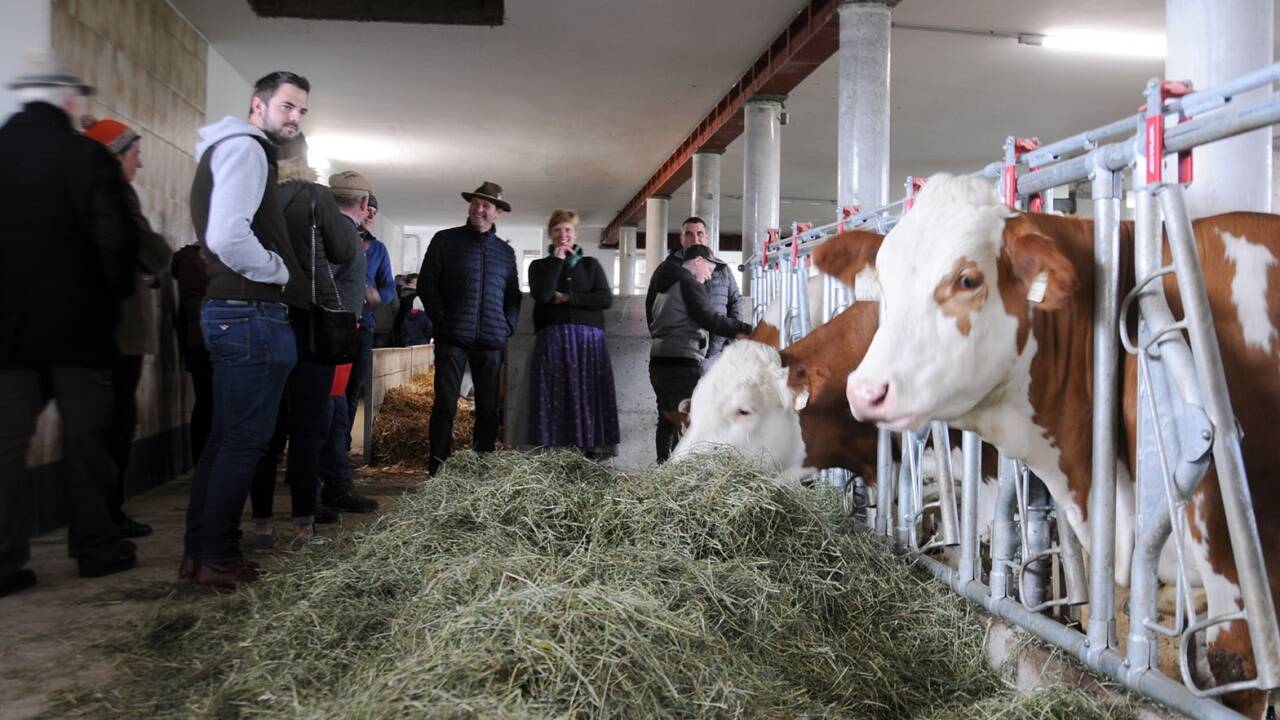 Der landwirtschaftliche Betrieb der Familie Putz in Hof.   Der landwirtschaftliche Betrieb der Familie Putz in Hof.