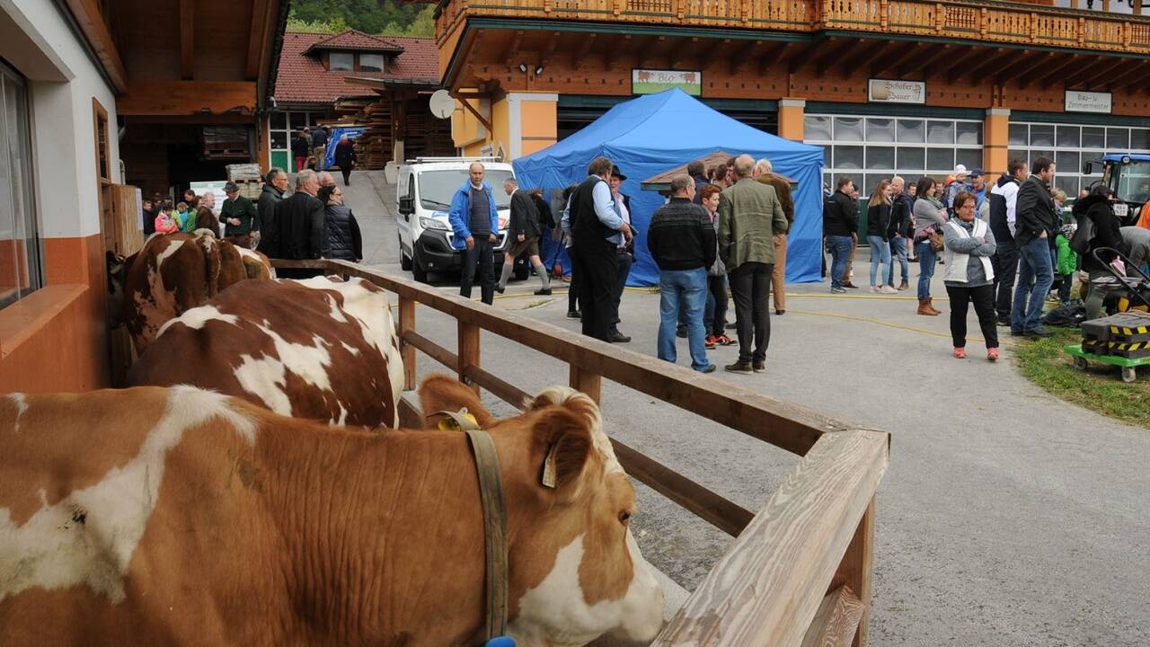 Zu Gast bei der Familie Zuckerstätter in Oberalm.  Zu Gast bei der Familie Zuckerstätter in Oberalm.
