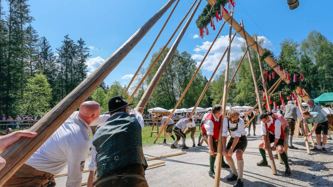 Maibaumaufstellen im Freilichtmuseum Großgmain 