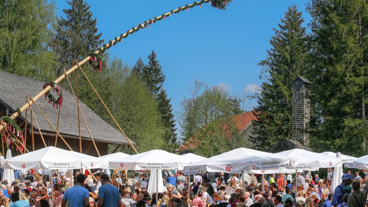 Hunderte Zuseher im Freilichtmuseum.  