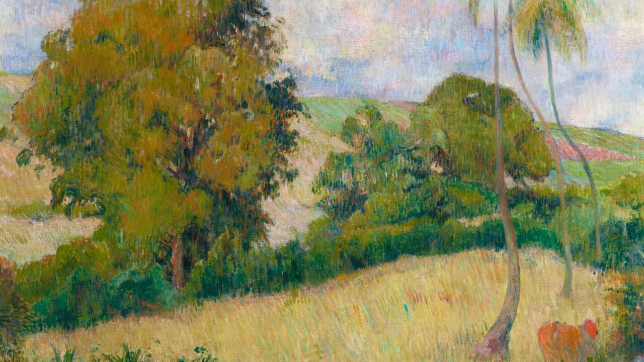 Paul Gauguin (1848–1903), „Wiese auf Martinique (Prairie Martiniquaise)“, um 1887 