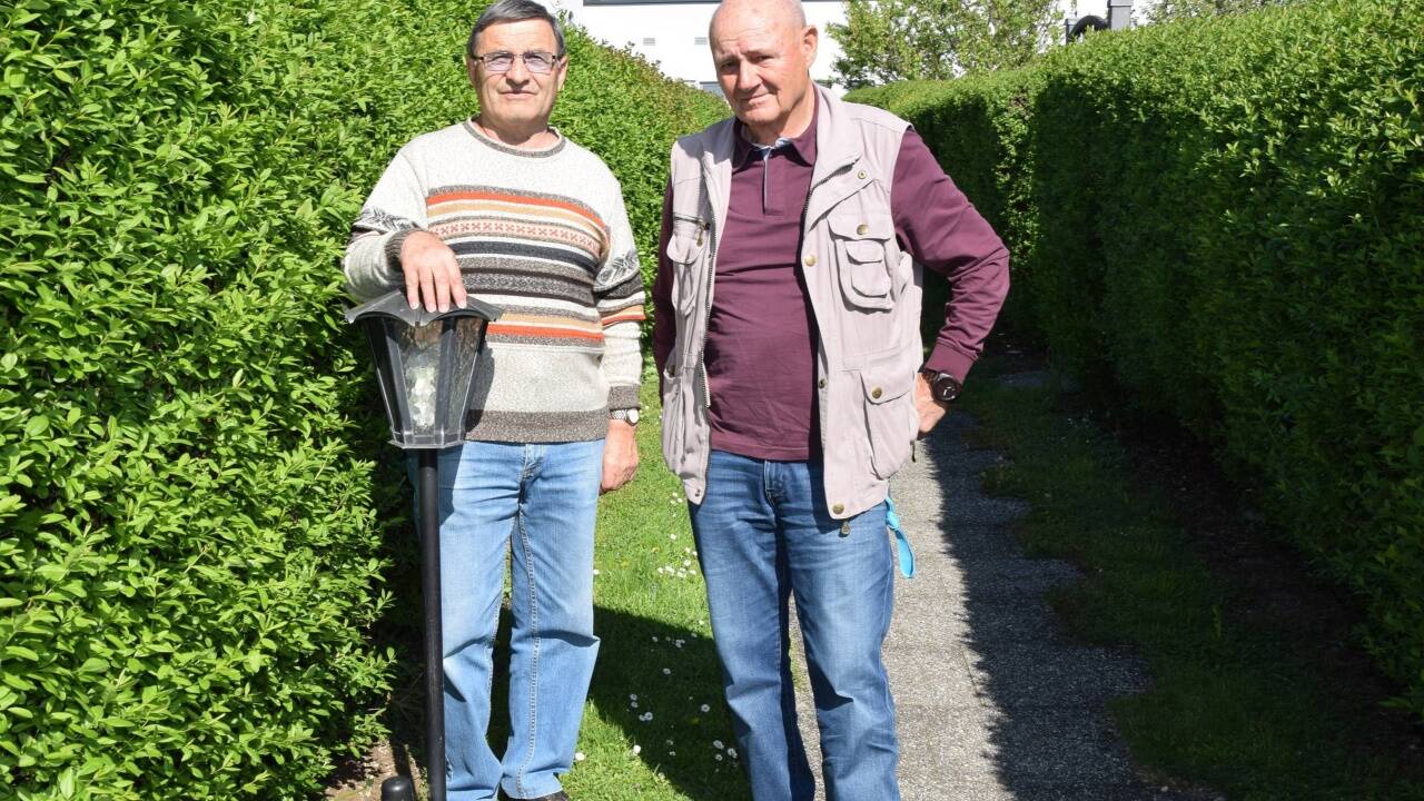 ...ebenso alle Beleuchtungskörper, Hecken und Bäume. 