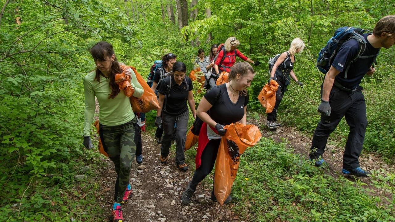 Mehr als 70 Freiwillige packten mit an.   Mehr als 70 Freiwillige packten mit an.