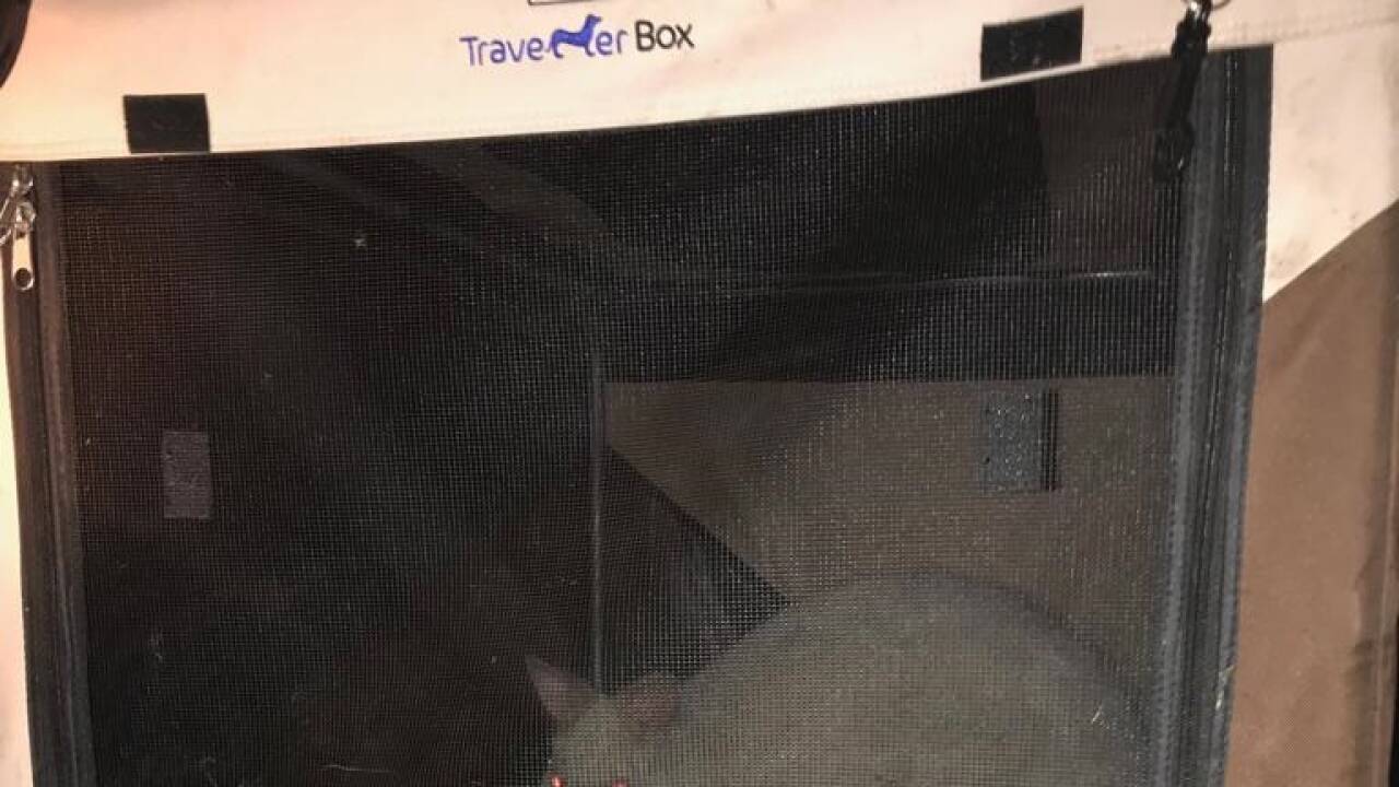 Tierischer Einsatz für die Feuerwehr in Nußdorf. Tierischer Einsatz für die Feuerwehr in Nußdorf.