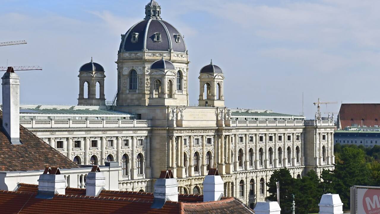 Ausgestellter Fund entpuppte sich als neue Saurier-Art 