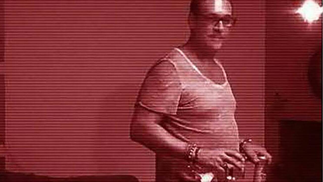 Die Aussagen in dem „Ibiza-Video“ von Heinz-Christian Strache und Johann Gudenus lösten ein politisches Erdbeben aus. Die Aussagen in dem „Ibiza-Video“ von Heinz-Christian Strache und Johann Gudenus lösten ein politisches Erdbeben aus.