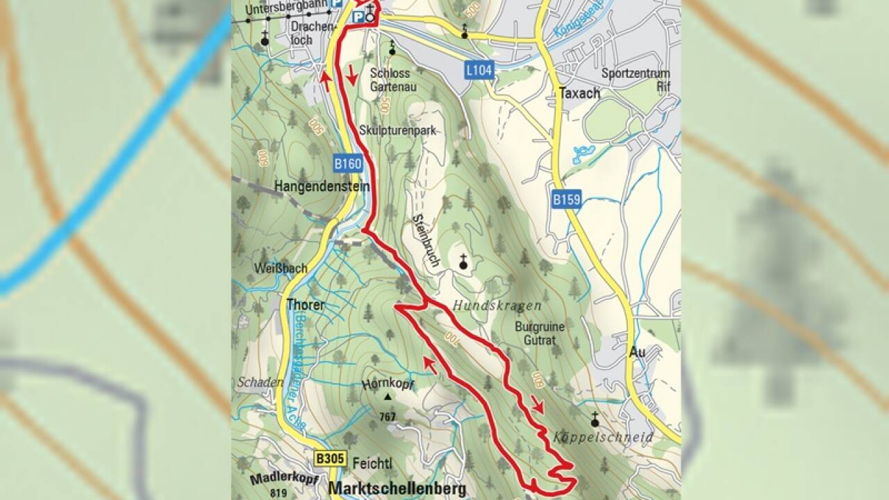 Der Gutratberg erstreckt sich zwischen der Ruine Gutrat (Bildmitte rechts) und dem Zementwerk Leube. 