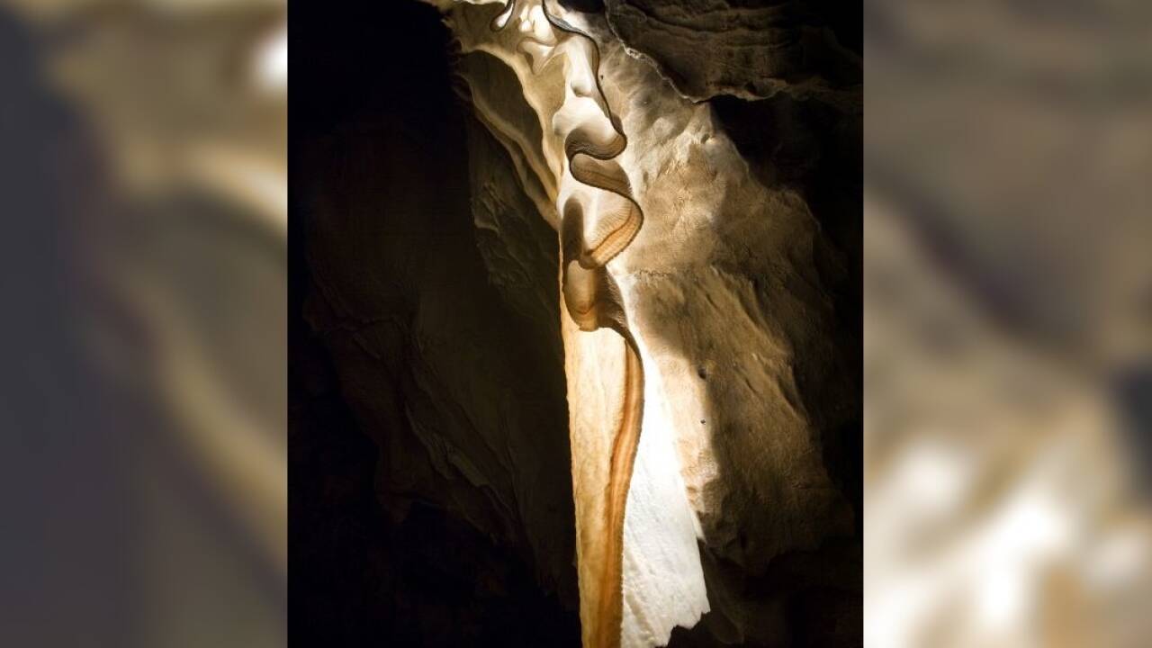 Hauchdünner Kalk: Tropfsteinfahnen.  Hauchdünner Kalk: Tropfsteinfahnen.