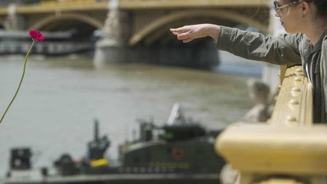 31. Mai 2019 – Trauer: Für die Opfer des Schiffsunglücks auf der Donau wirft diese junge Frau eine Blume von der Budapester Margaretenbrücke in den Fluss. Zwei Tage nach der Katastrophe suchen die Einsatzkräfte weiterhin nach Opfern. 31. Mai 2019 – Trauer: Für die Opfer des Schiffsunglücks auf der Donau wirft diese junge Frau eine Blume von der Budapester Margaretenbrücke in den Fluss. Zwei Tage nach der Katastrophe suchen die Einsatzkräfte weiterhin nach Opfern.