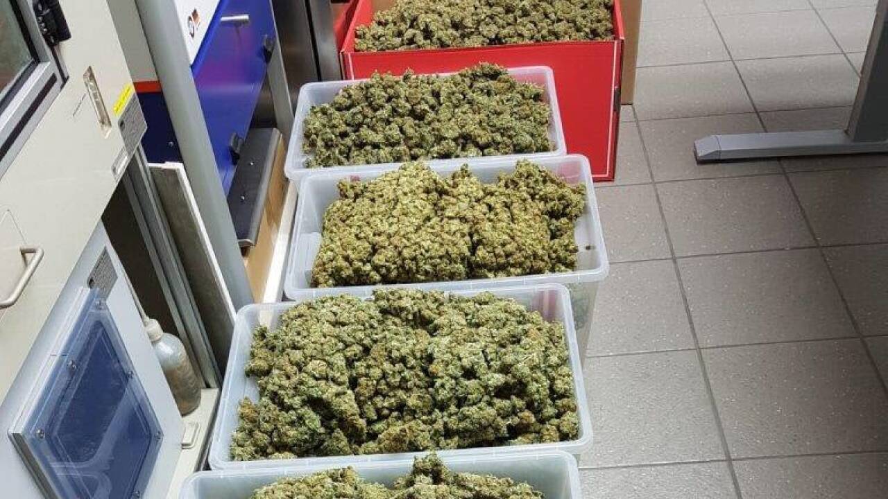 Salzburger Polizei stellte große Menge Drogen sicher. Salzburger Polizei stellte große Menge Drogen sicher.