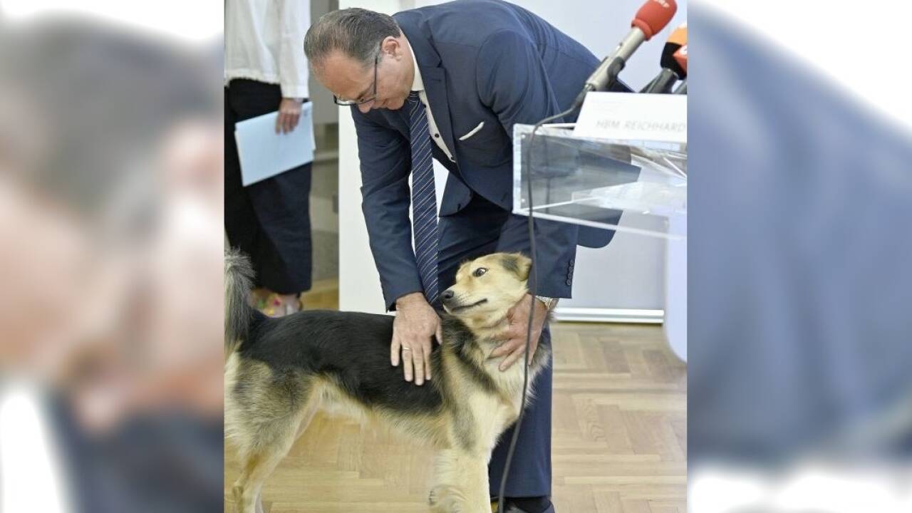 Sympathischer Auftritt mit dem „Ministeriumshund“.  