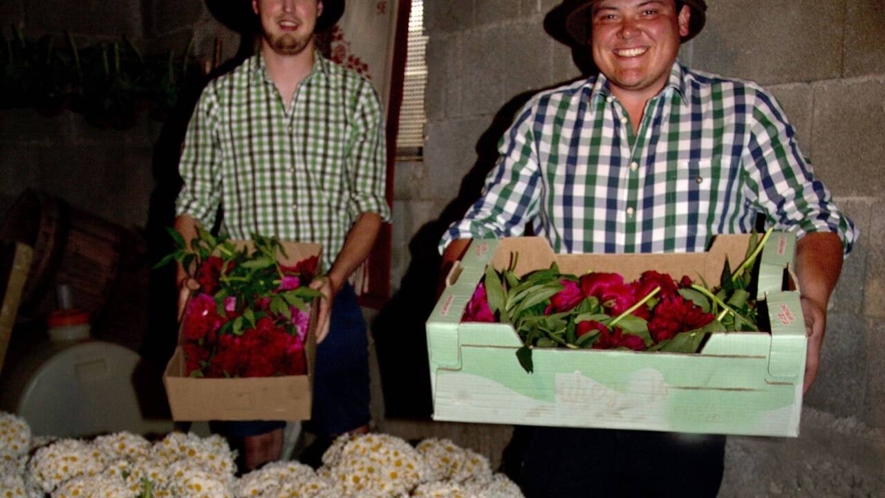 Im kühlen Erdkeller werden die Blumen gelagert.  