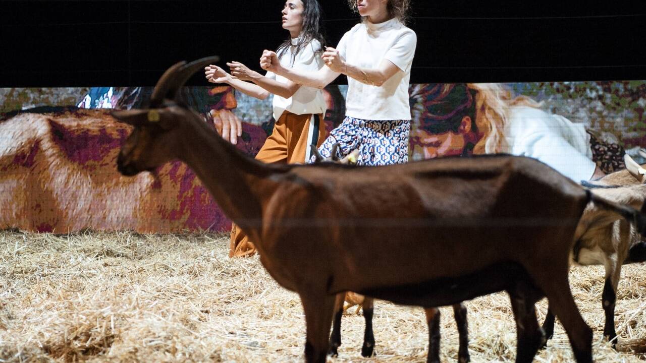 Szene aus „Herde und Stall“ 