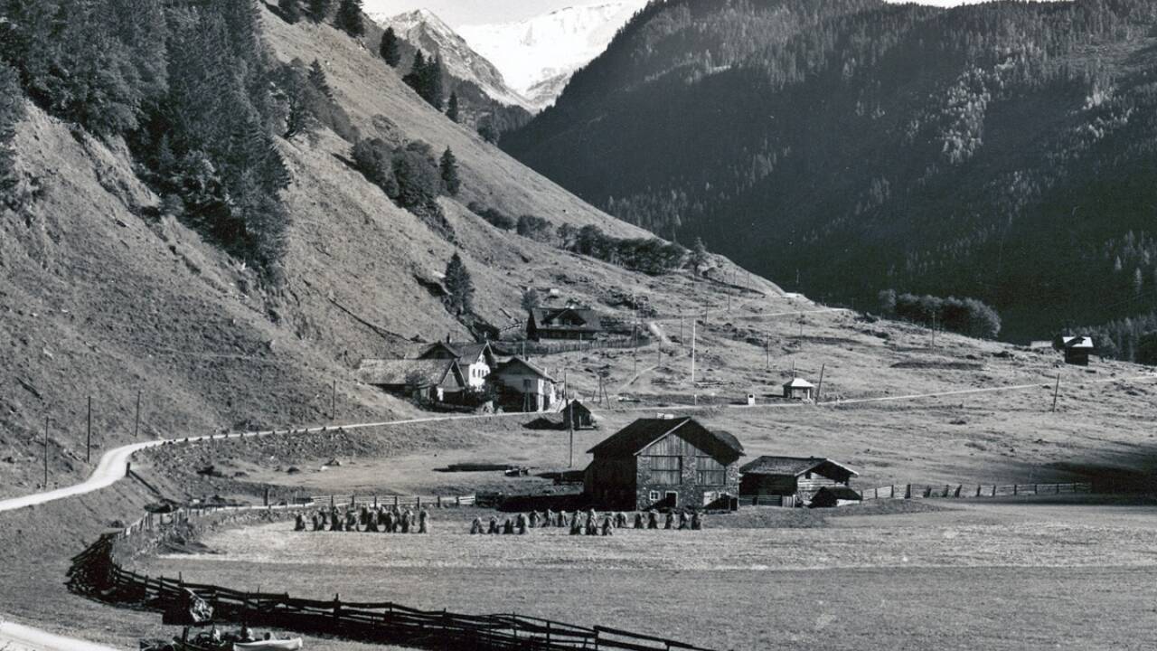 Die Schneiderau vor dem Bau der ÖBB-Siedlung. 