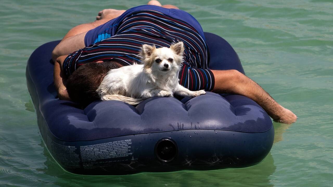 Rasten ist jetzt angesagt, am besten im Schatten. In den heißen Mittagsstunden hilft eine Siesta zu Hause.  