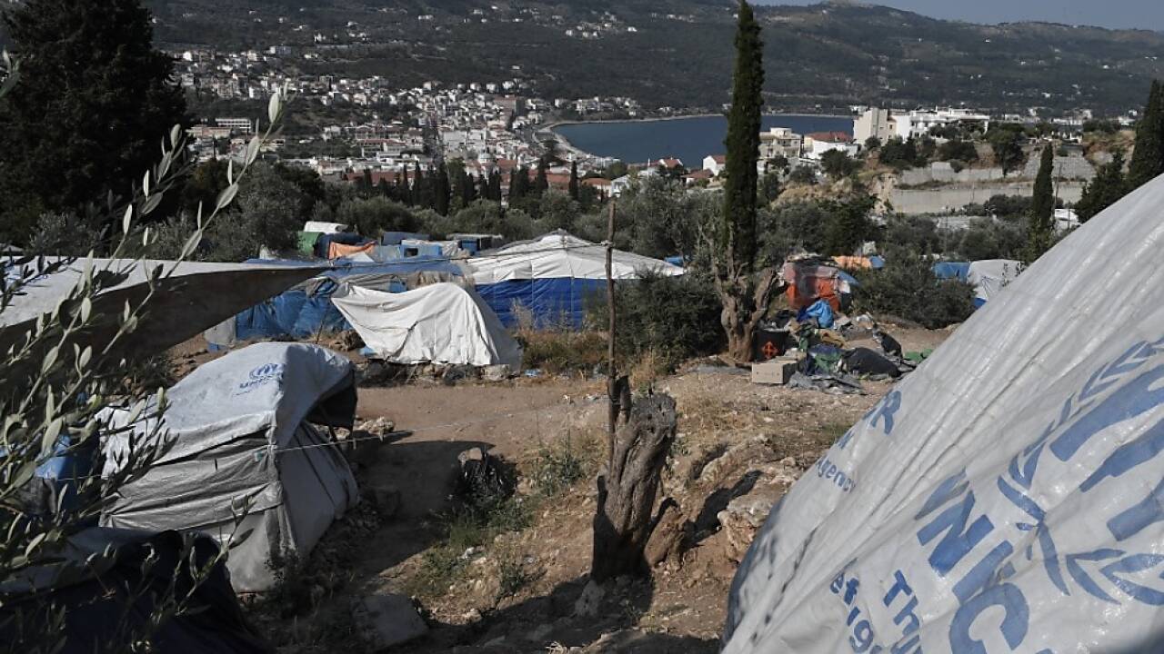 Die meisten leben derzeit vor allem in Ostafrika und der Türkei Die meisten leben derzeit vor allem in Ostafrika und der Türkei