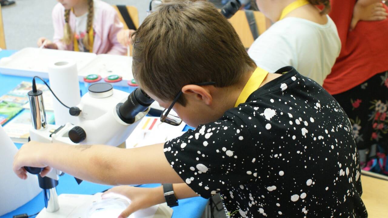 Schüler Alexander Deisl am Mikroskop. 