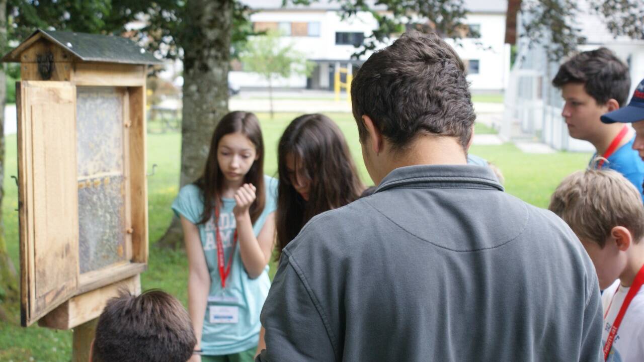 Schüler der NMS Adnet lauschen den Erklärungen zum Bienenstock. 