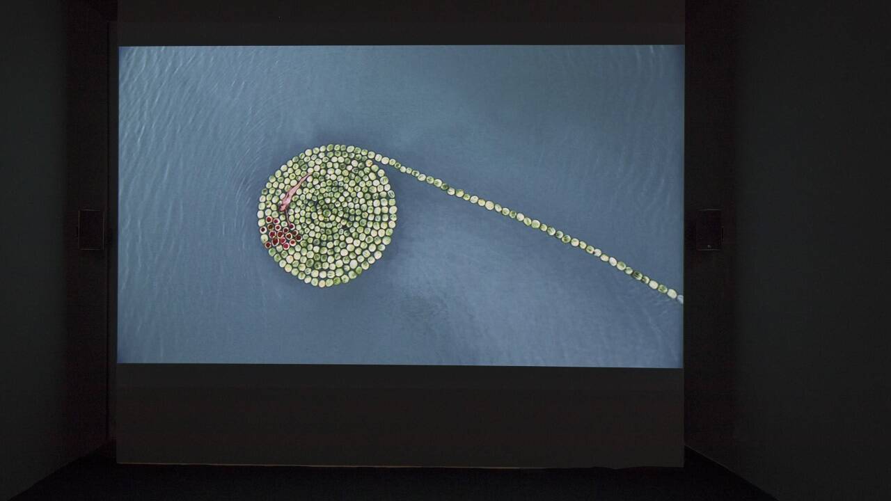 Blicke in die Ausstellung „Salt Years“ von Sigalit Landau. 