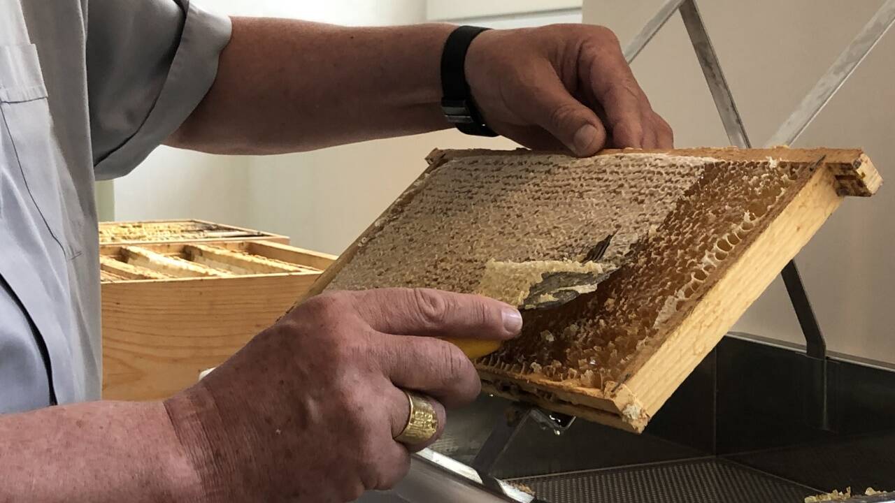 Der Erzbischof entdeckelt die Waben.  