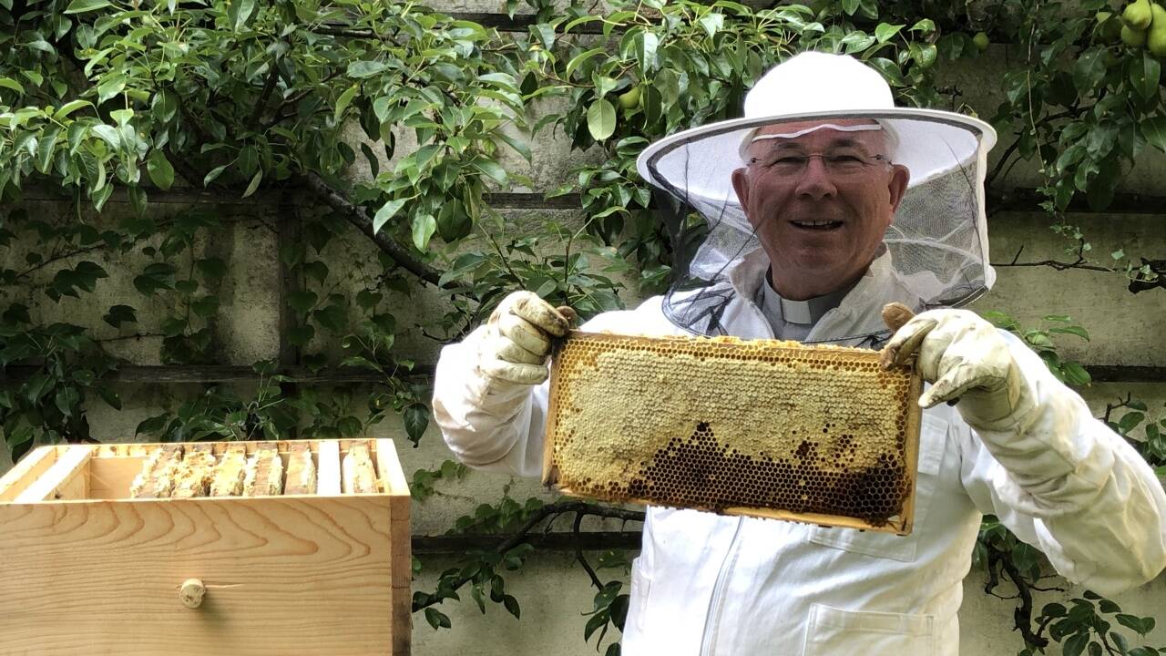 Erzbischof Franz Lackner bei der Honigernte.  