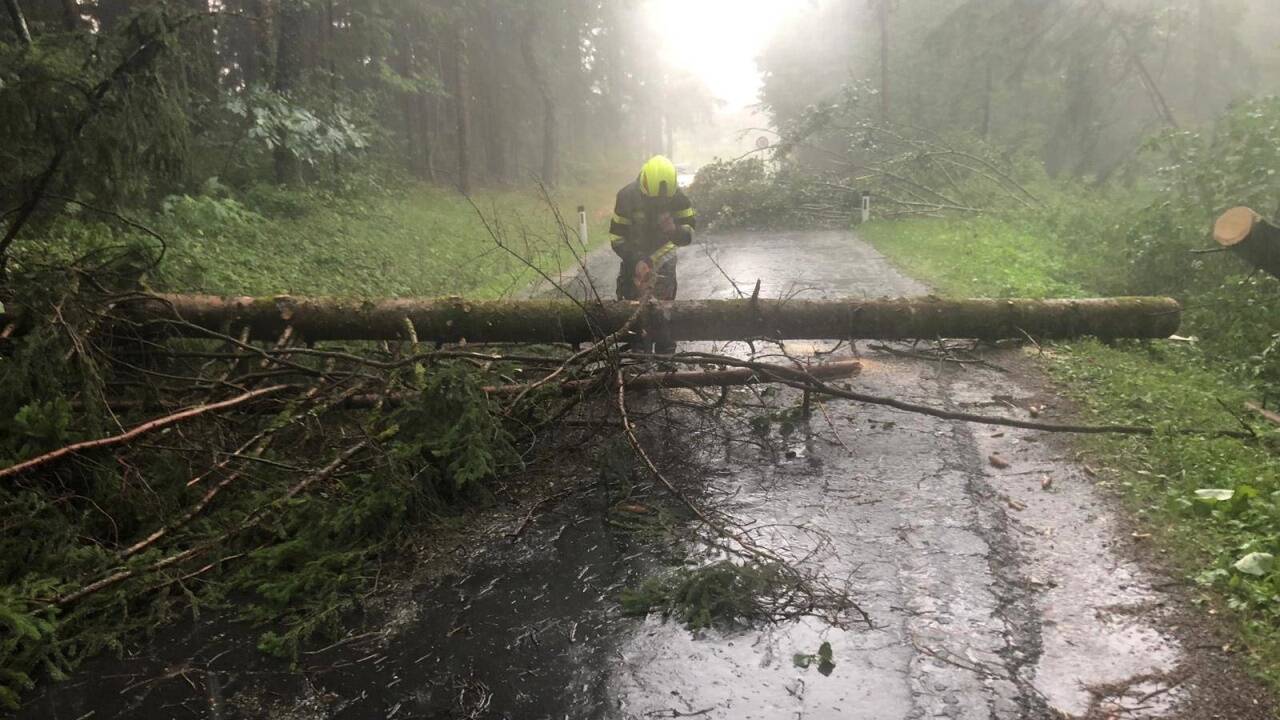 Zahlreiche Bäume stürzten in der Steiermark um. 