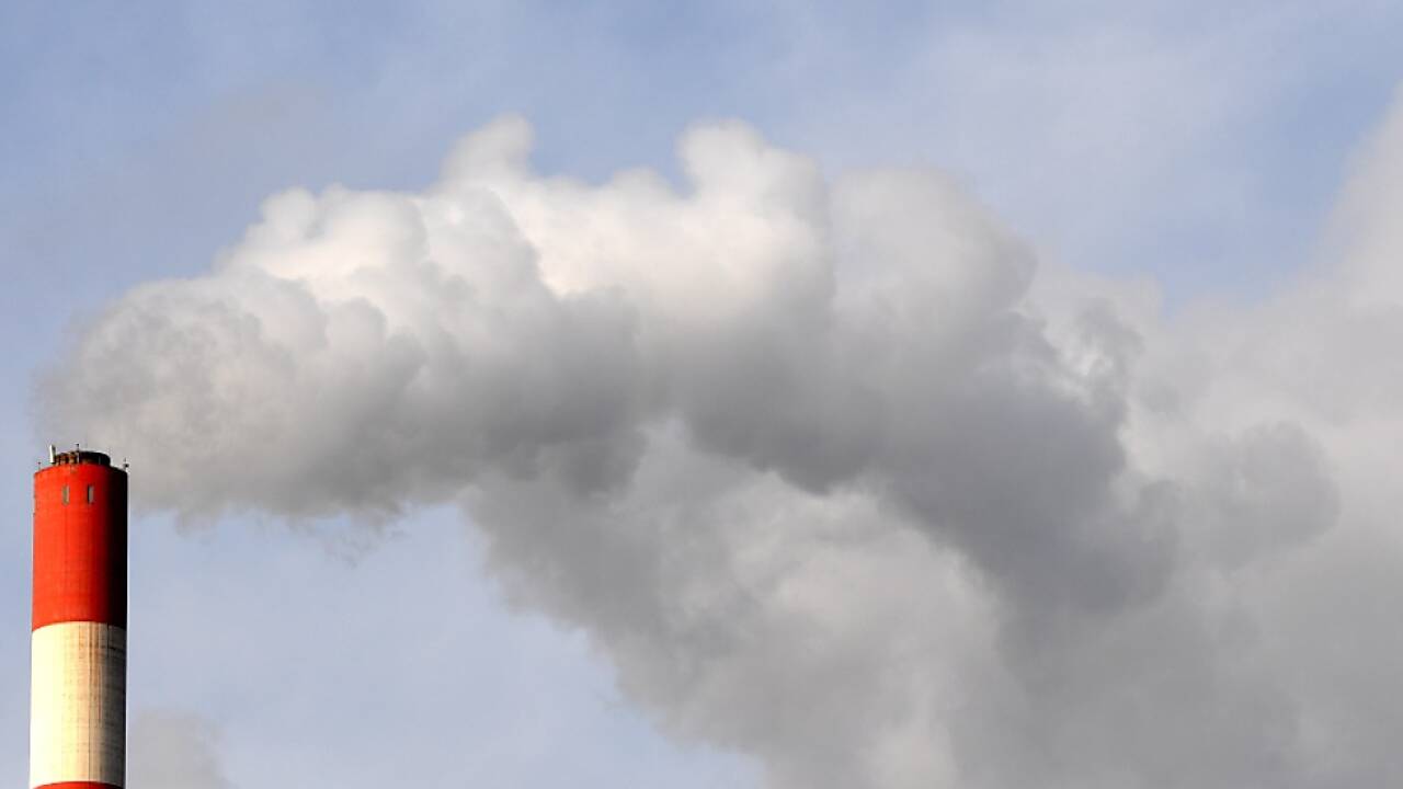 Rot-Weiß-Rot setzte nur wenige Maßnahmen 