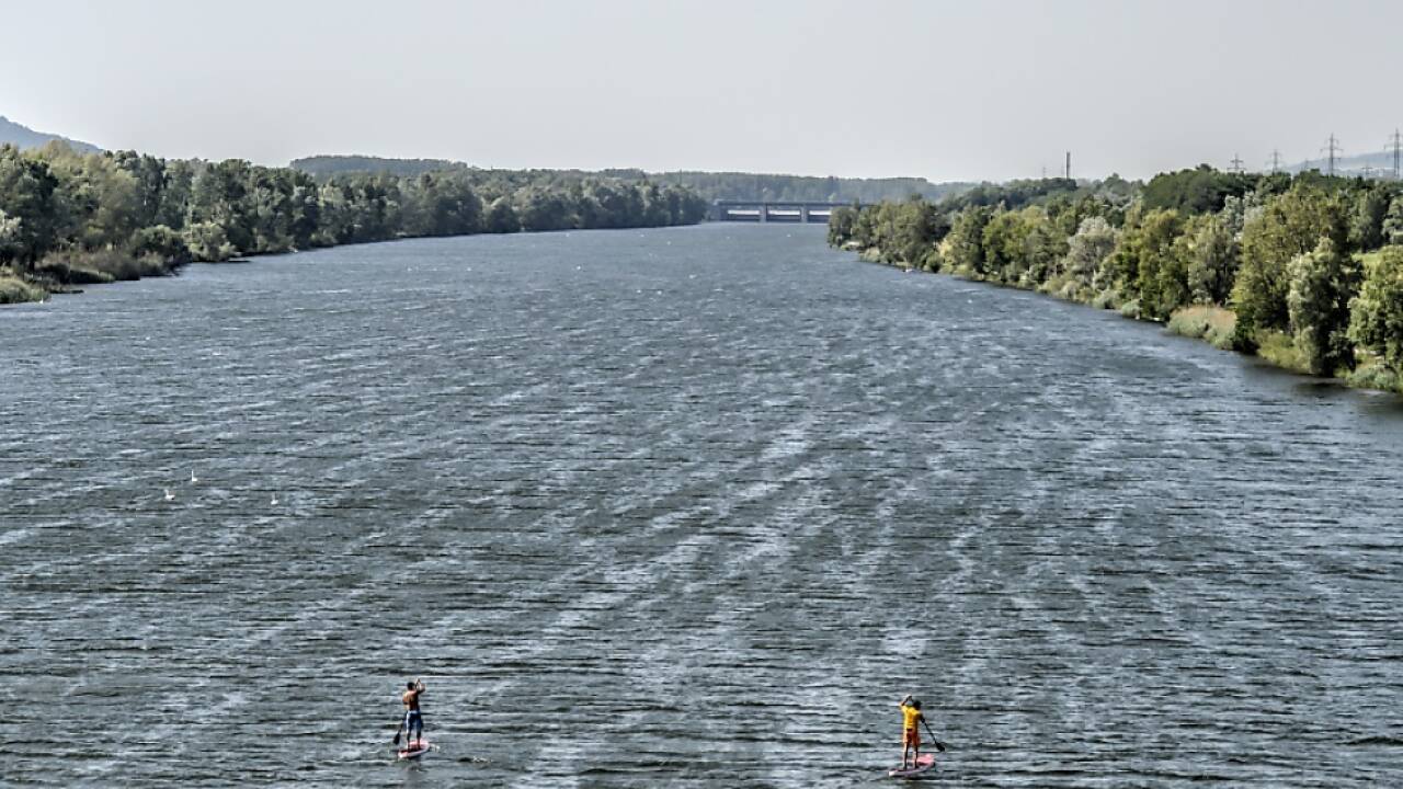 Donau weist in Österreich kaum Fäkalien auf 