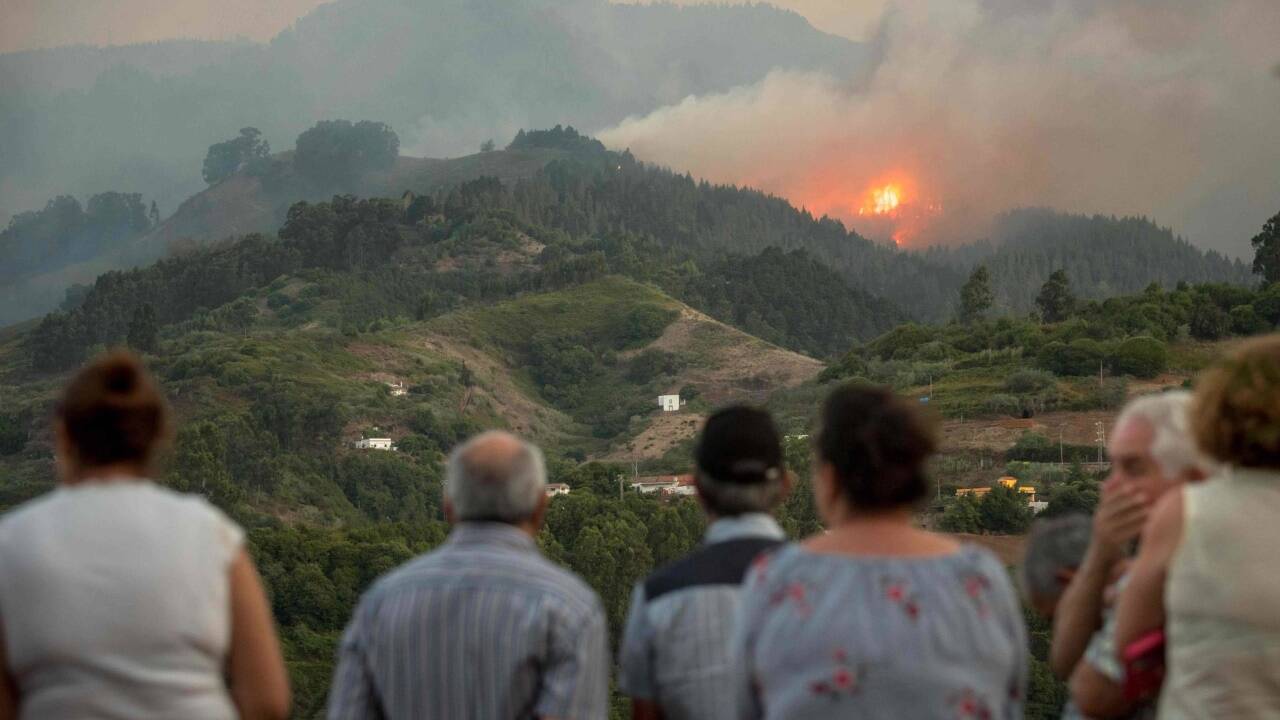 Auf Gran Canaria wüten Waldbrände. 