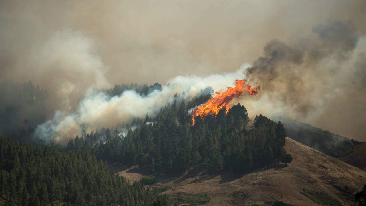 Auf Gran Canaria wüten Waldbrände. 