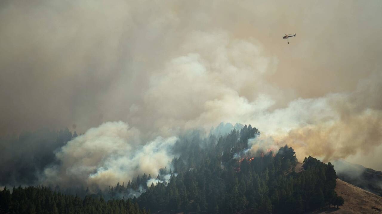 Auf Gran Canaria wüten Waldbrände. 