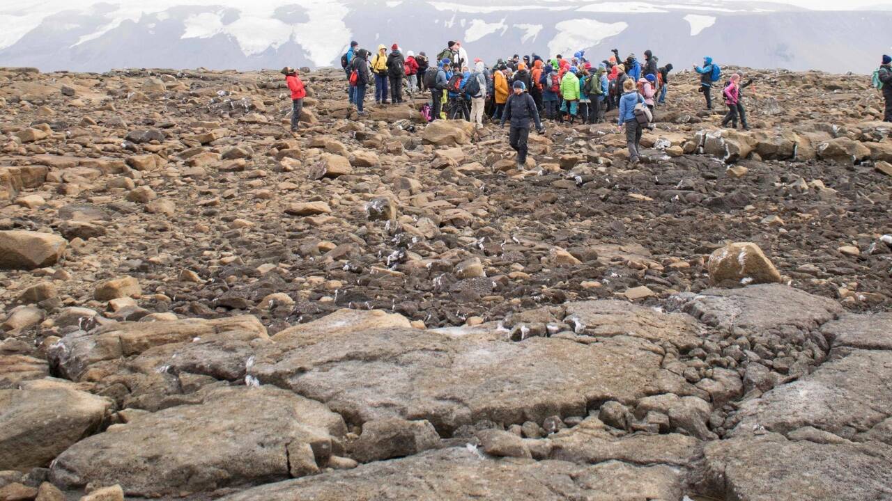 Ehemaliges Gletschergebiet Okjokull . 