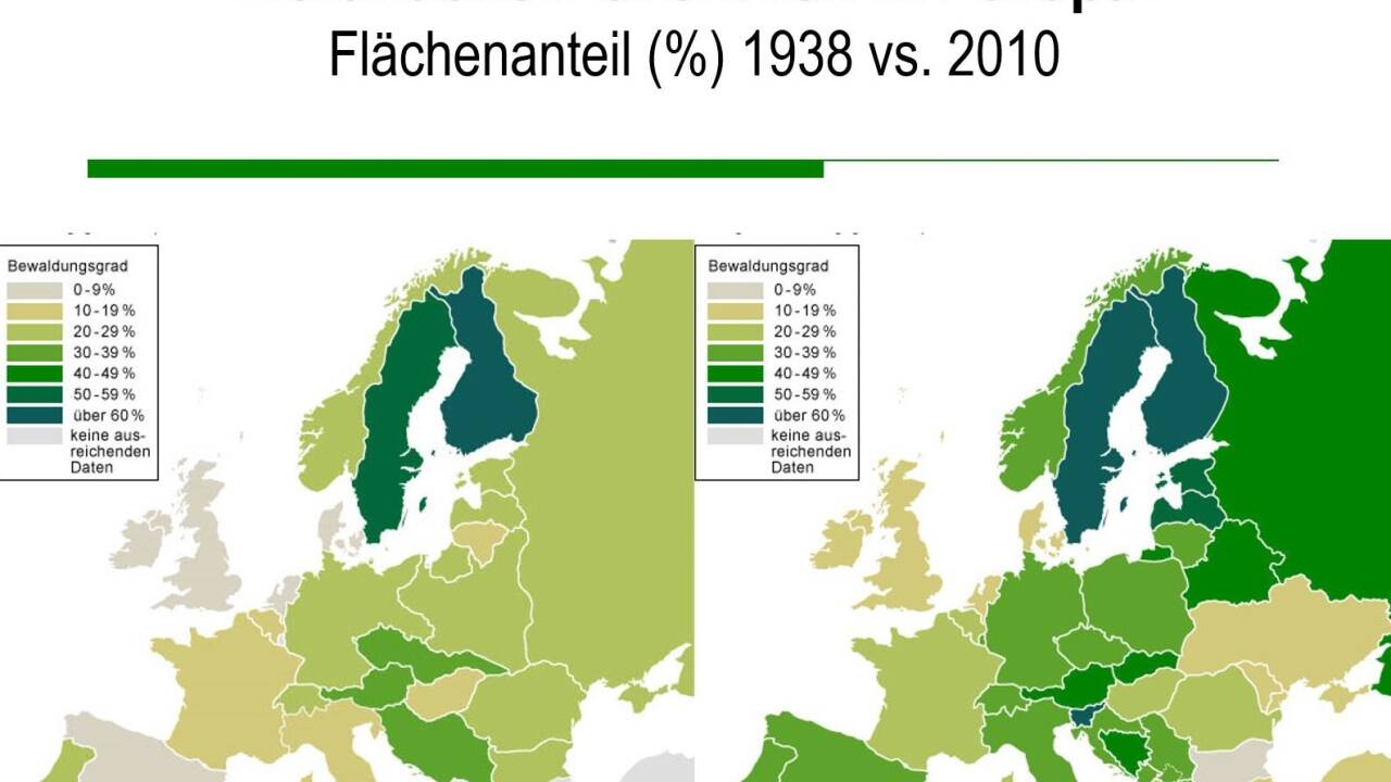 Waldflächenzunahme in Europa. 