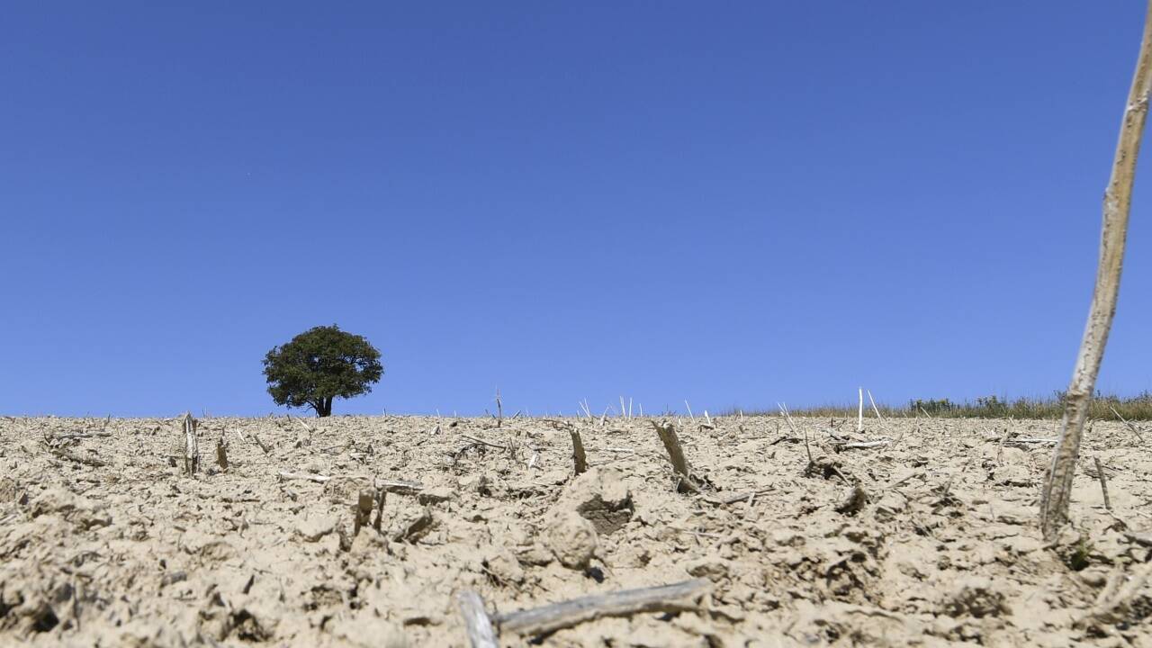 Wer hat „Mitschuld“ am „Inferno“? Für die Klimarettung sind keine PR-Gags gefragt, sondern Handlungsalternativen.  
