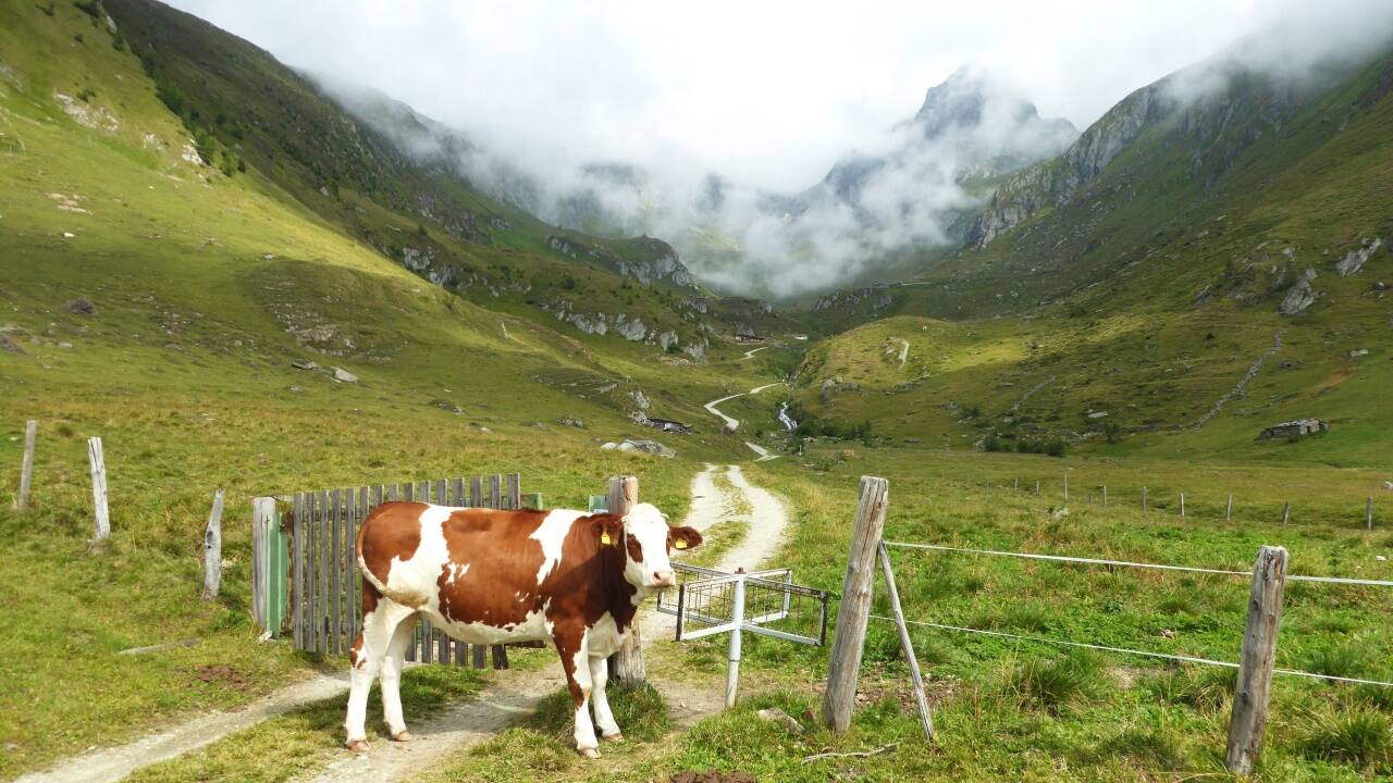 Der Aufstieg zur Bonn-Matreier-Hütte durch das Große Nilltal steht nicht allen offen.  