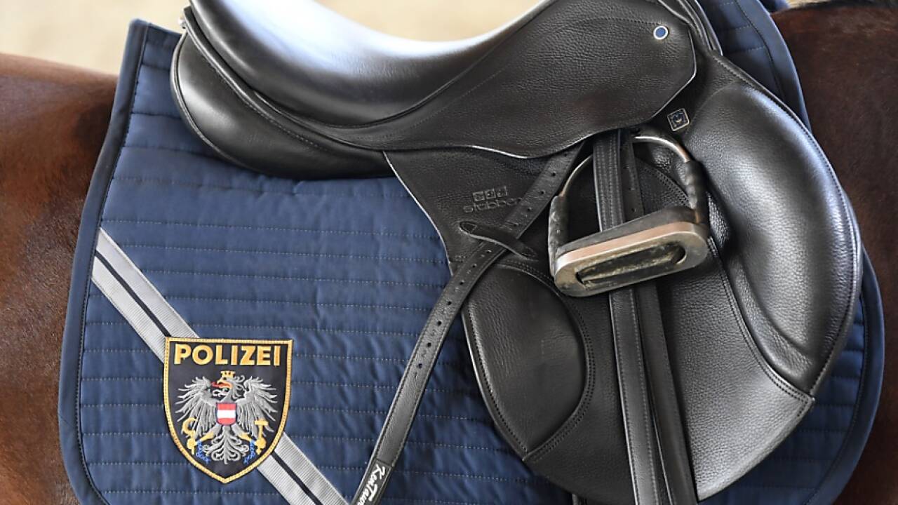 Kein Einsatz für Polizeireiter. Kein Einsatz für Polizeireiter.