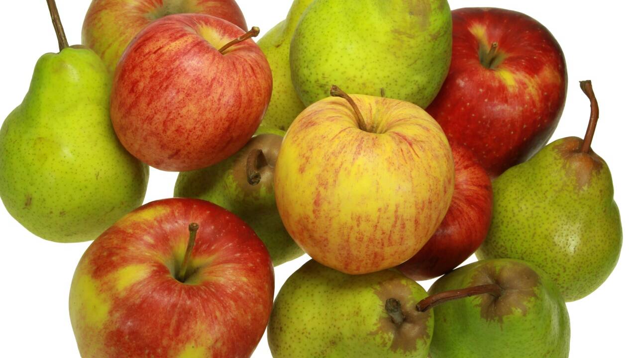 Gegen Ende des Reifeprozesses schmeckt Obst viel süßer. 