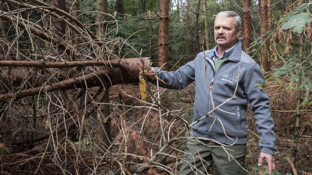 „Waldhelfer“ Hermann Weiß ist mit den Folgen des Schneebruchs beschäftigt.  