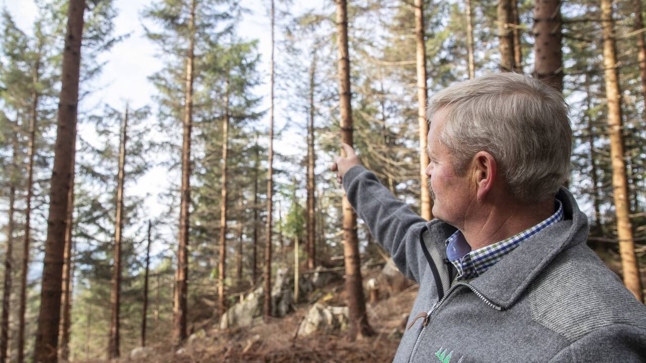  Hermann Weiß zeigt Waldschäden durch Schneebruch. 