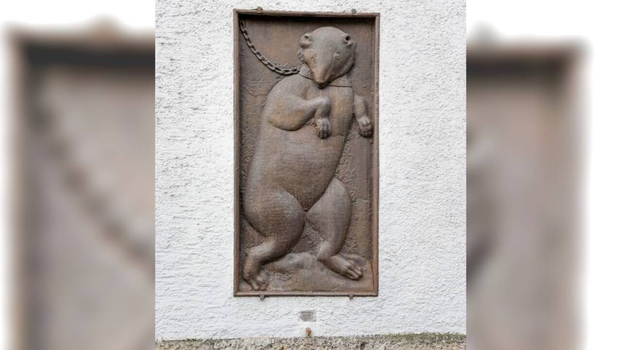 Das Bärenrelief in voller Größe: In das Halsband des Bären ist die Jahreszahl 1562 eingraviert.  