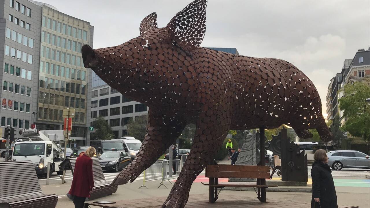 Was macht das Schwein da mitten in Brüssel? 