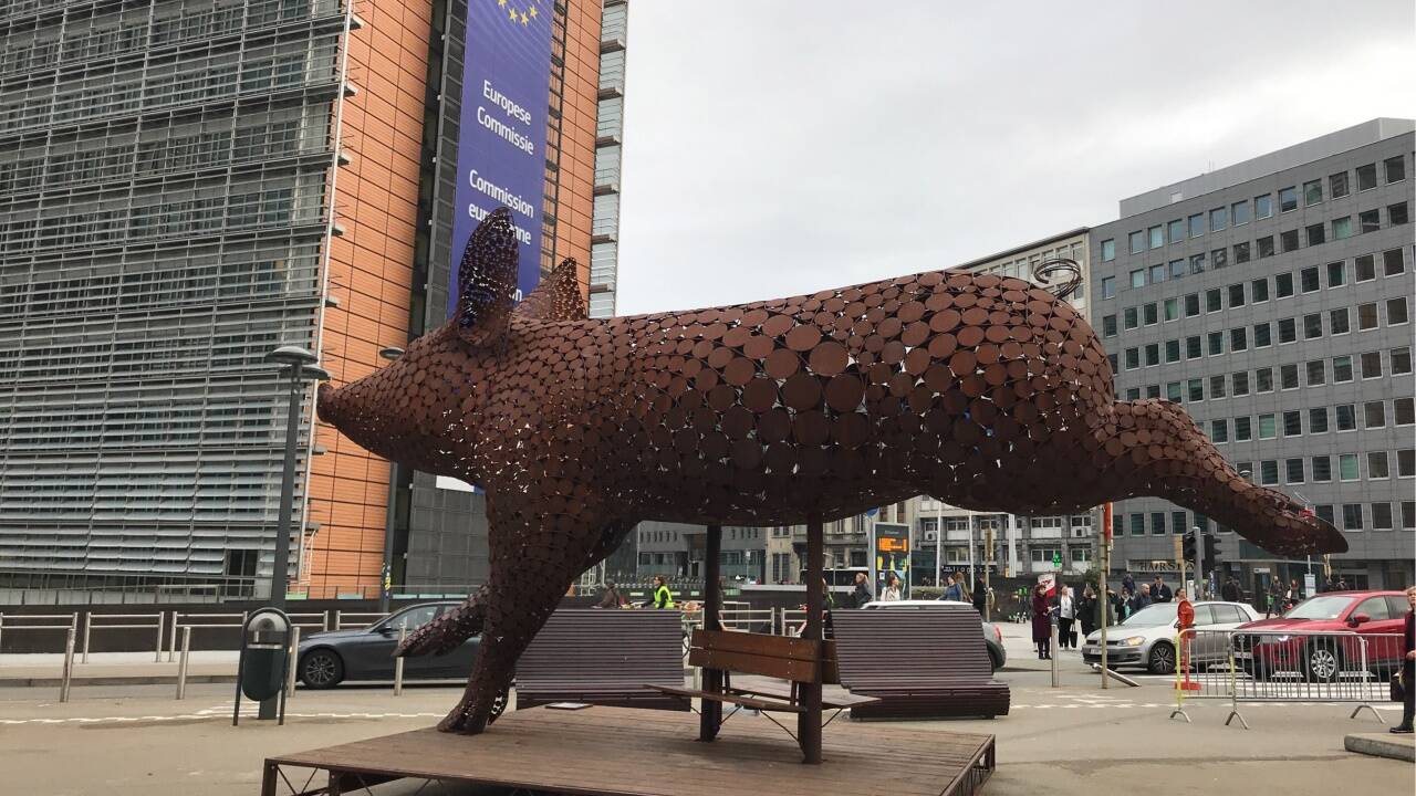 Und warum rennt es Richtung EU-Kommission? 