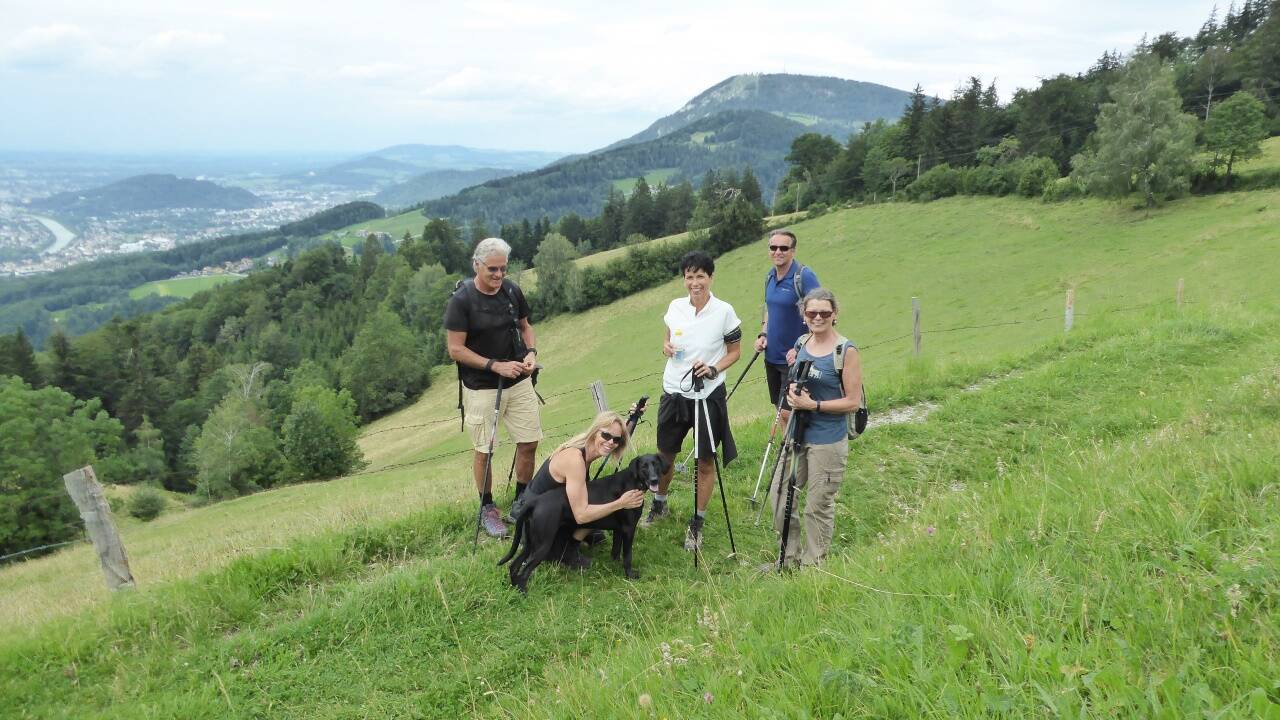 Entspannung pur am Weg von der Fageralm nach Höhenwald. Entspannung pur am Weg von der Fageralm nach Höhenwald.