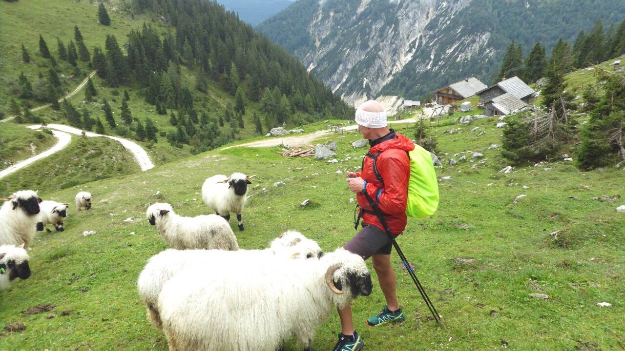 Die Schwarznasenschafe sind schon im Tal. Die Angerkaralm hat am Wochenende aber noch geöffnet. HEUGL 