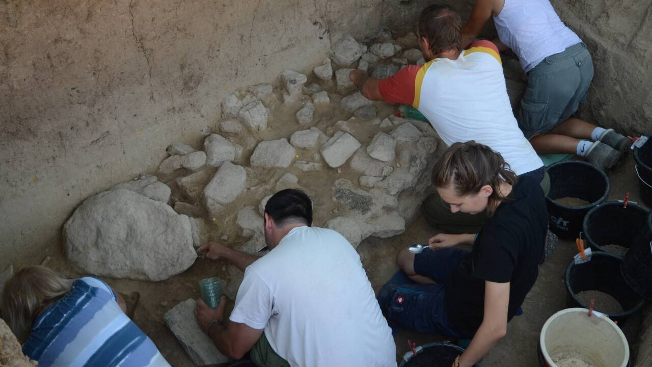 Freilegung des prähistorischen Fleischspeichers in Kammern-Grubgraben in Niederösterreich Freilegung des prähistorischen Fleischspeichers in Kammern-Grubgraben in Niederösterreich