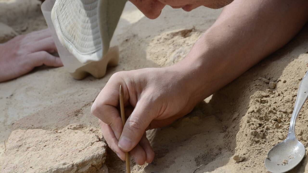 Fund von fossilen Schnecken, die als Schmuck verwendet wurden, sind ein Beispiel für den hohen Organisationsgrad der Menschen im Jungpaläolithikum. Fund von fossilen Schnecken, die als Schmuck verwendet wurden, sind ein Beispiel für den hohen Organisationsgrad der Menschen im Jungpaläolithikum.