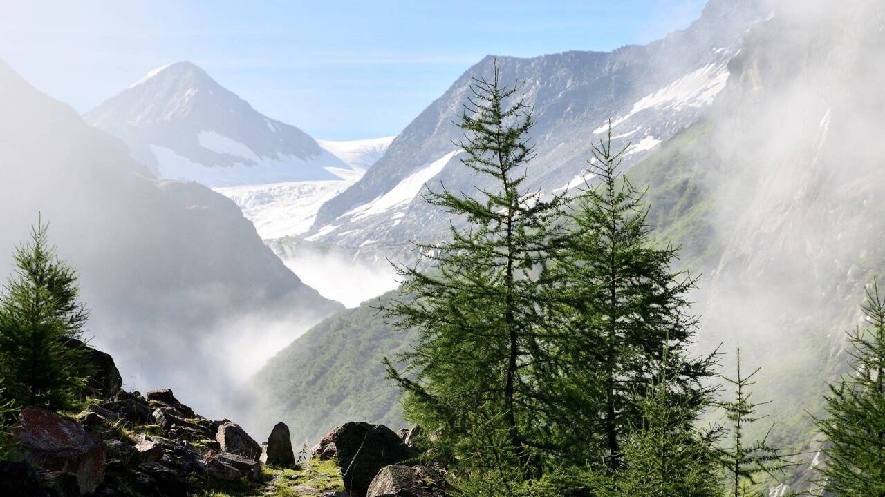 Wildnisgebiet Sulzbachtäler. 